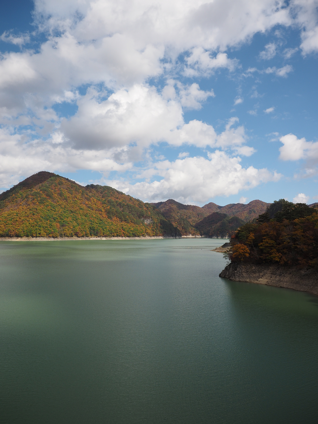 PA180567.jpg