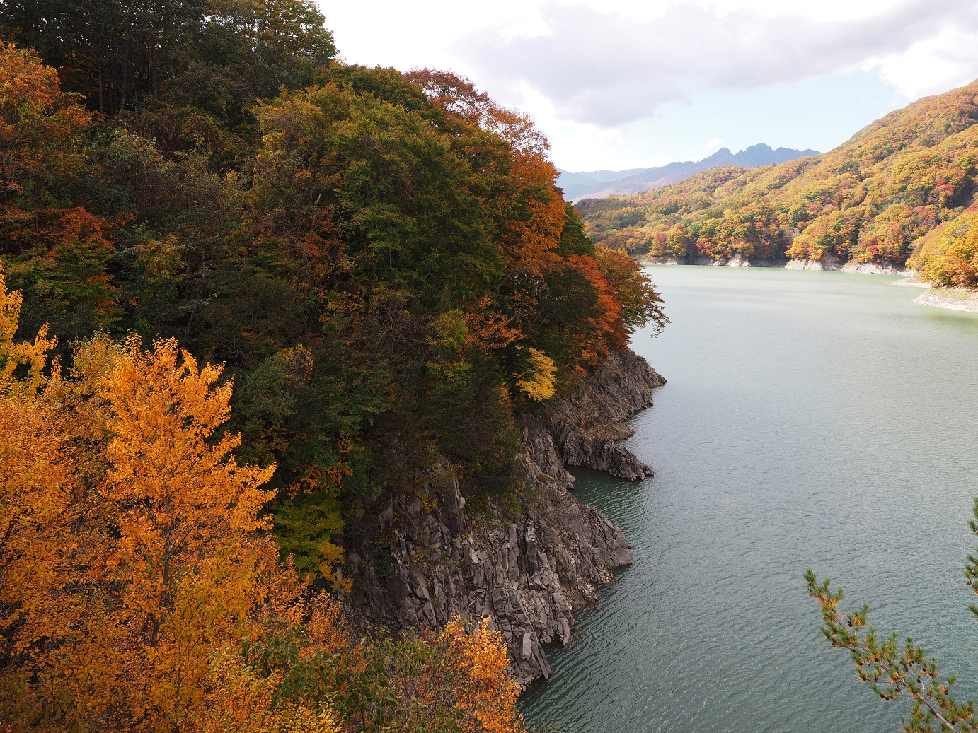 PA180582.jpg