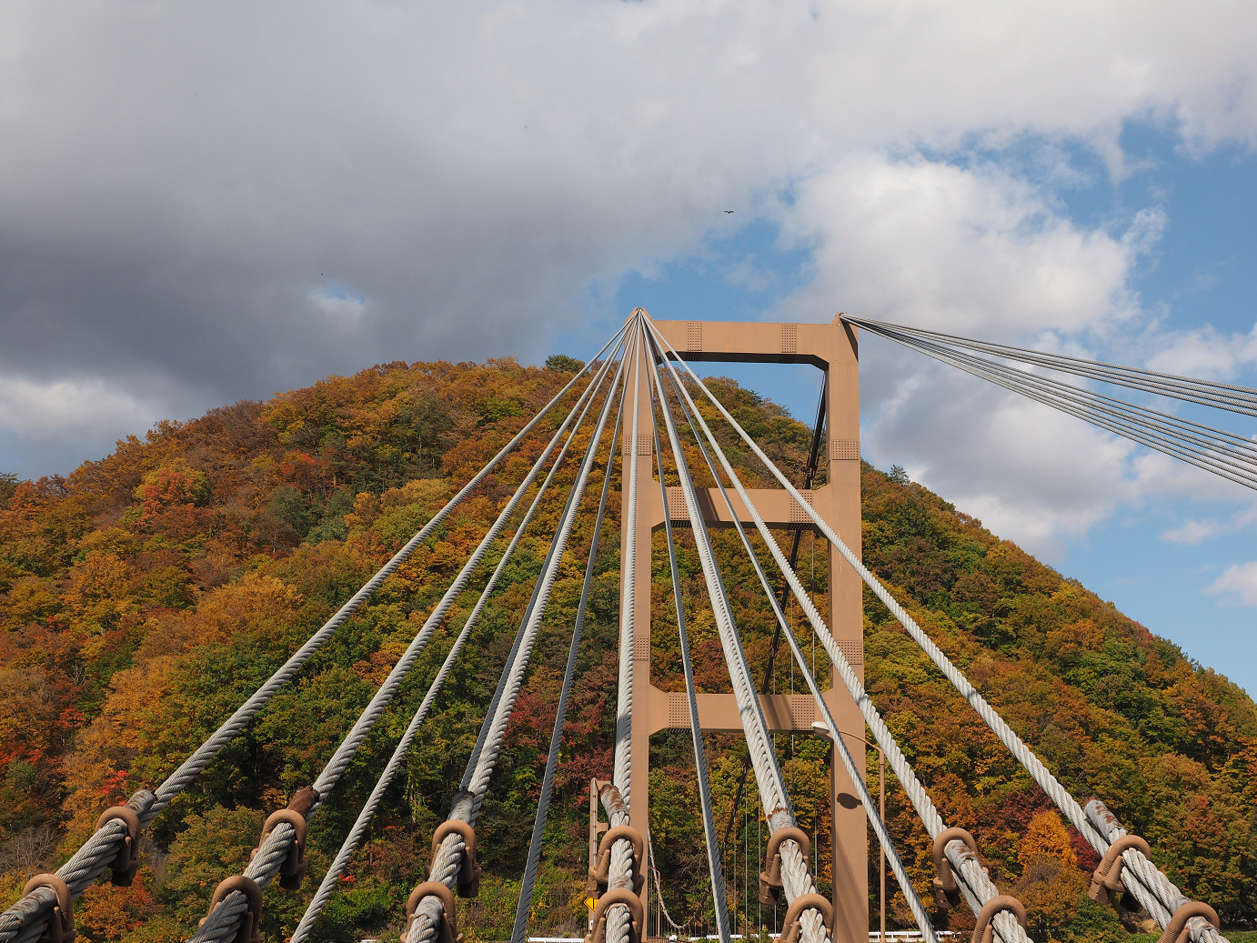 PA180636.jpg