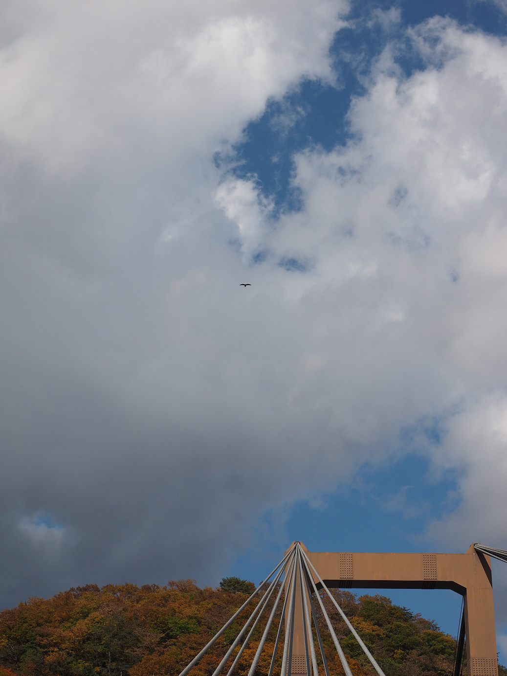 PA180637.jpg