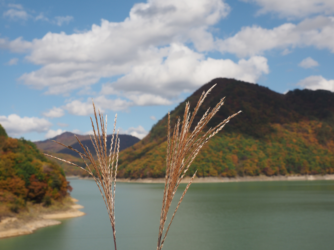PA180638.jpg