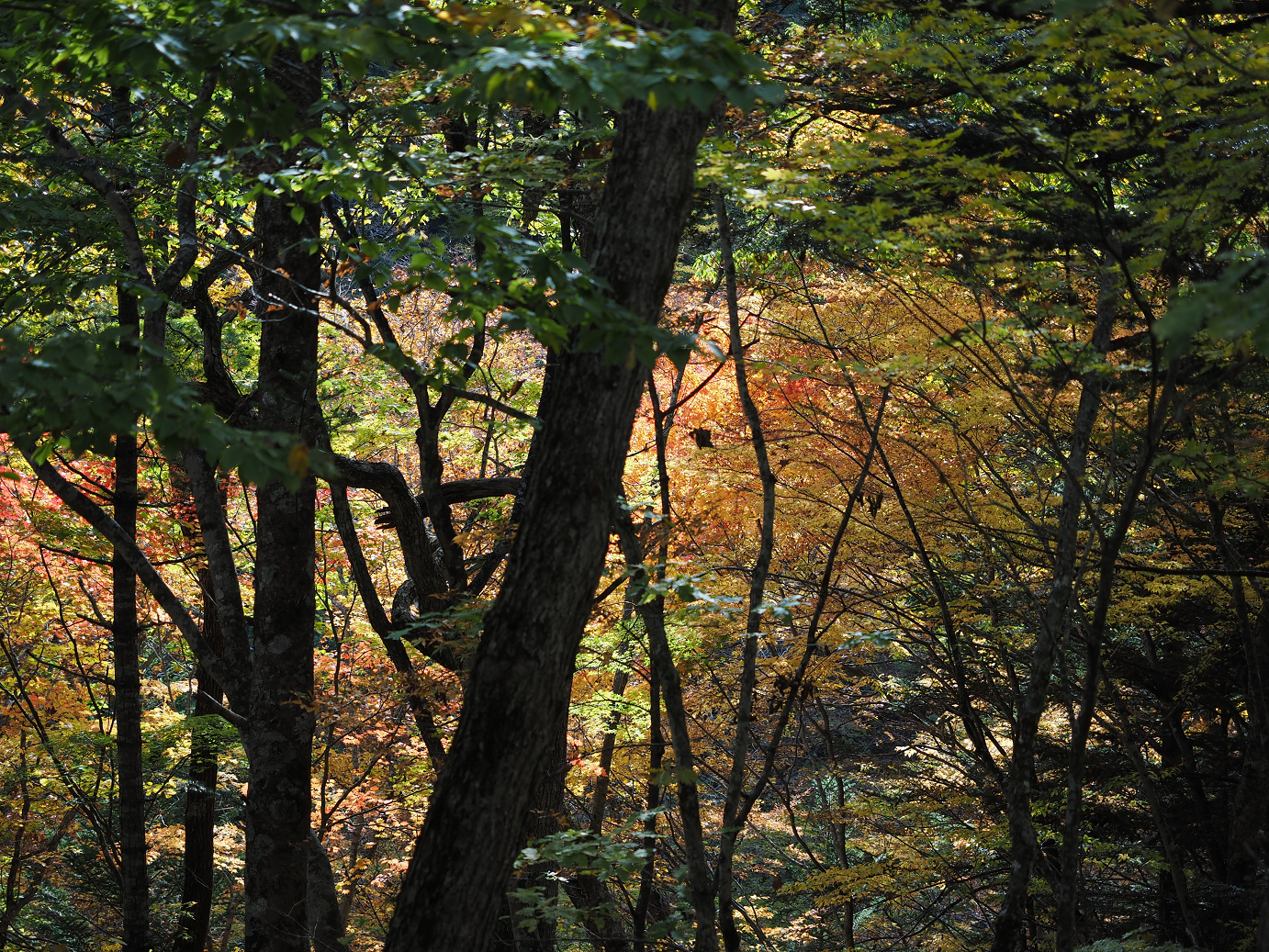PA180647.jpg