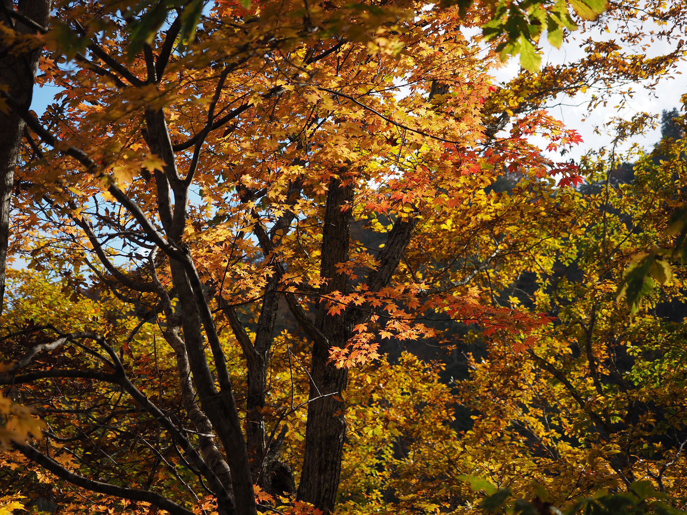 PA180648.jpg