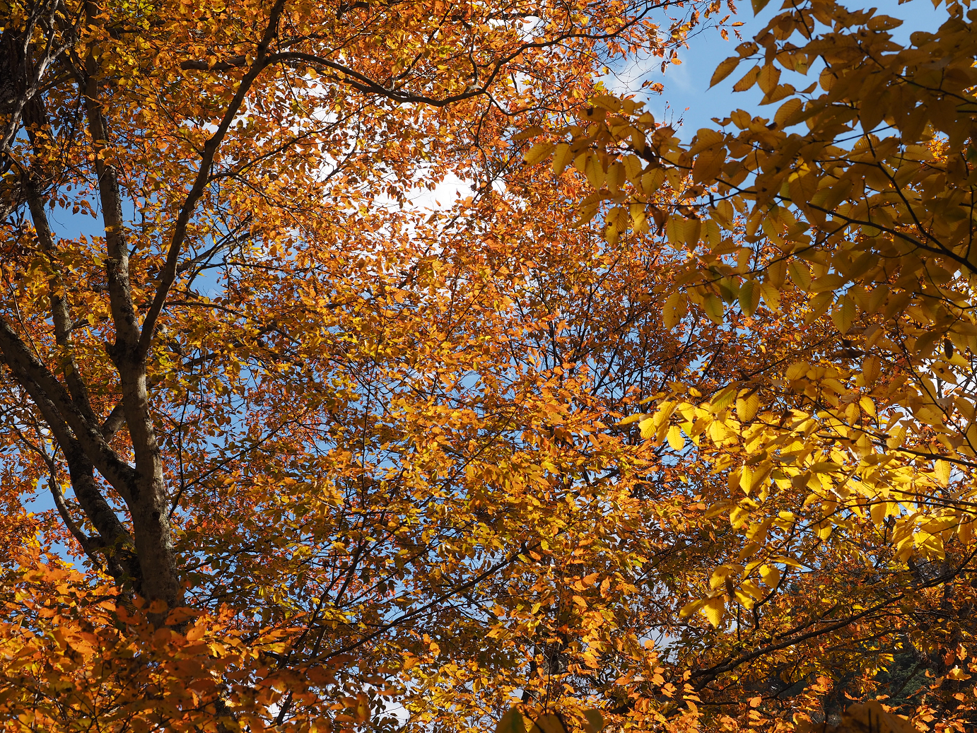 PA180655.jpg