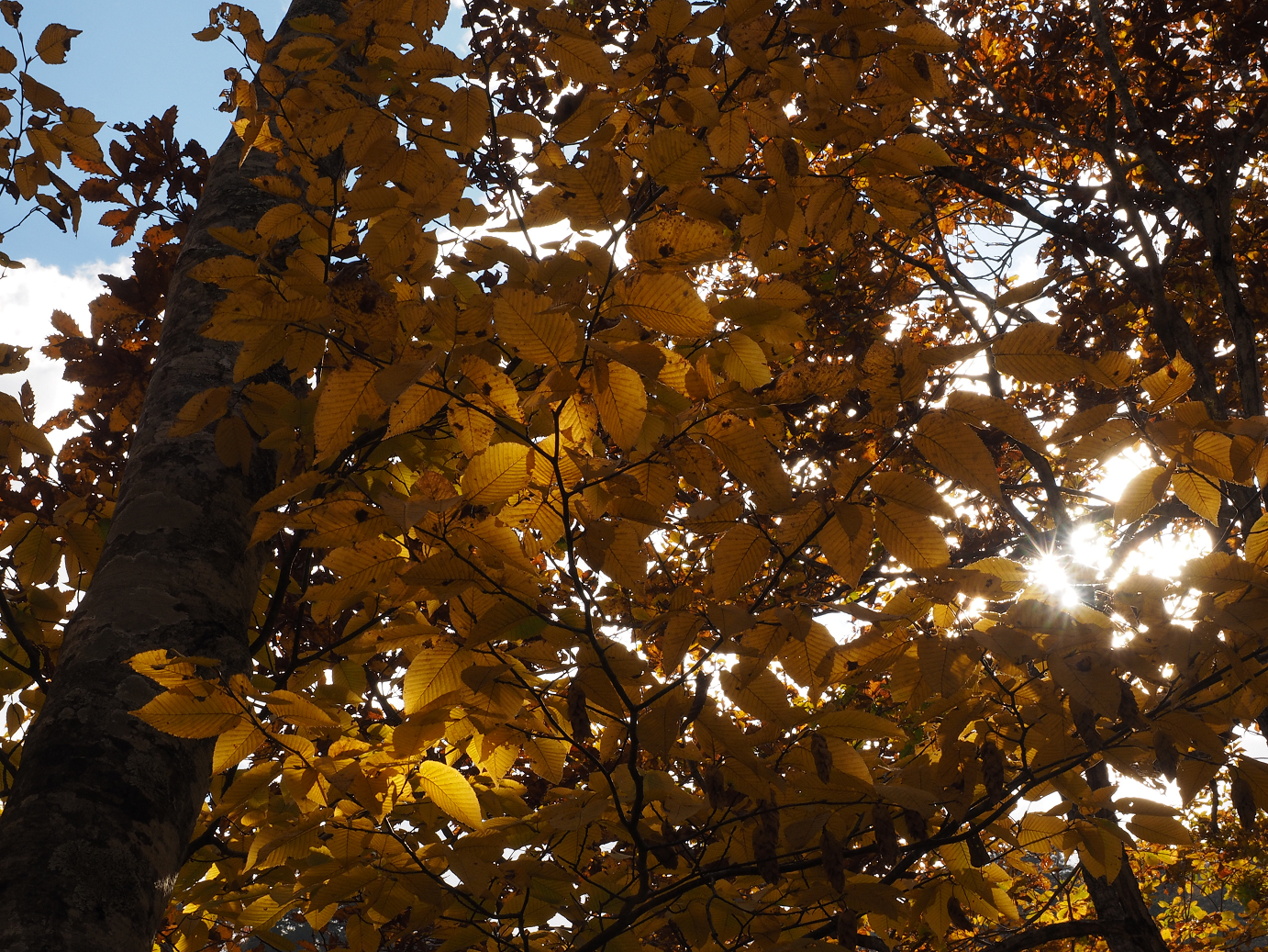 PA180659.jpg