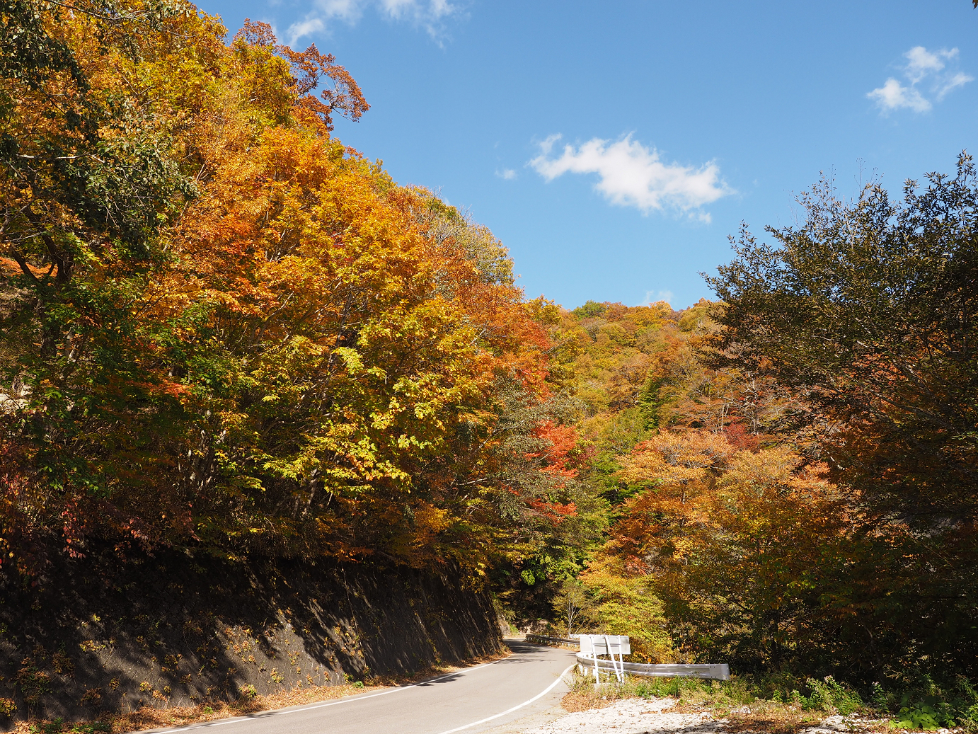PA180684.jpg