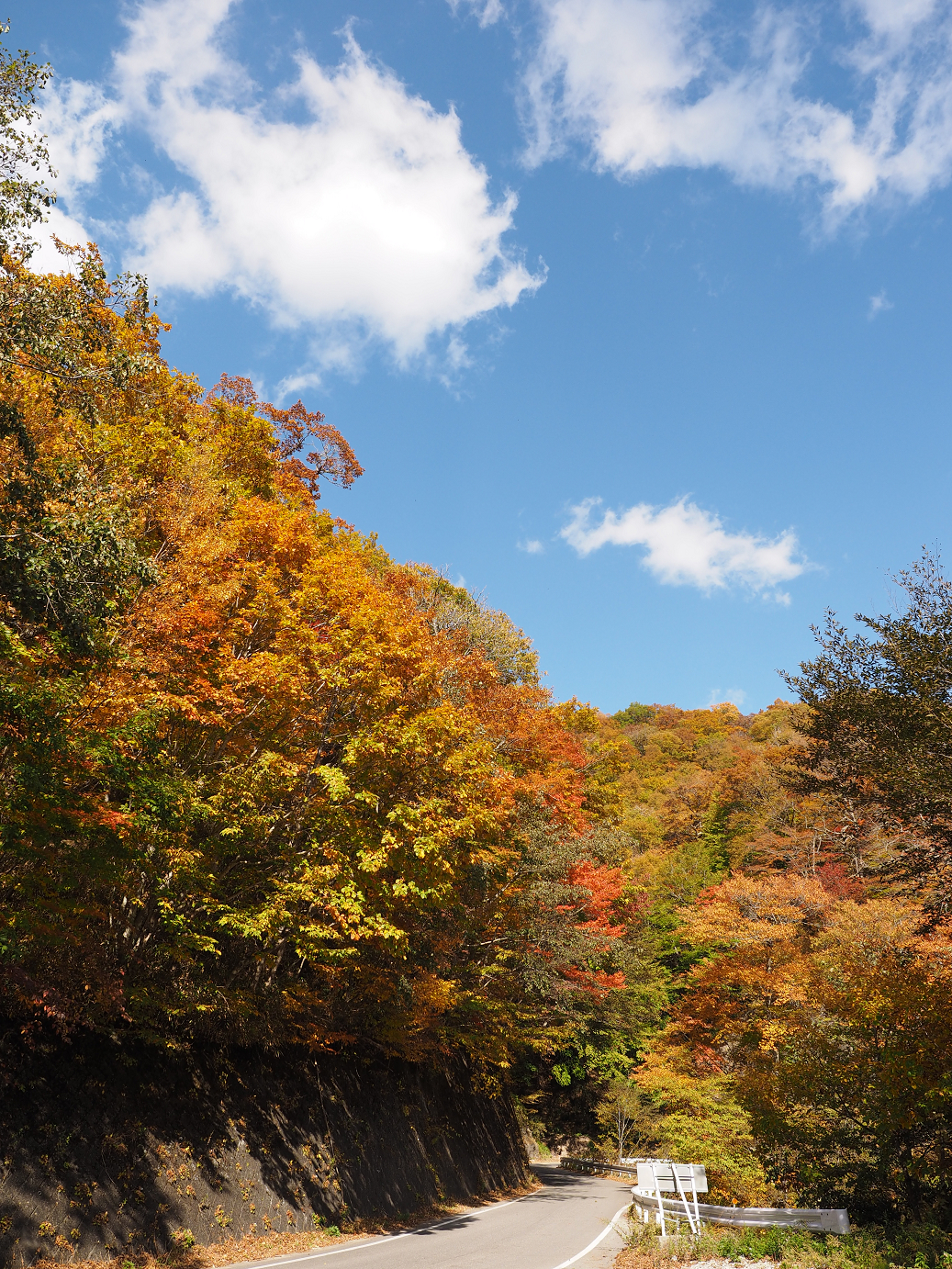 PA180685.jpg