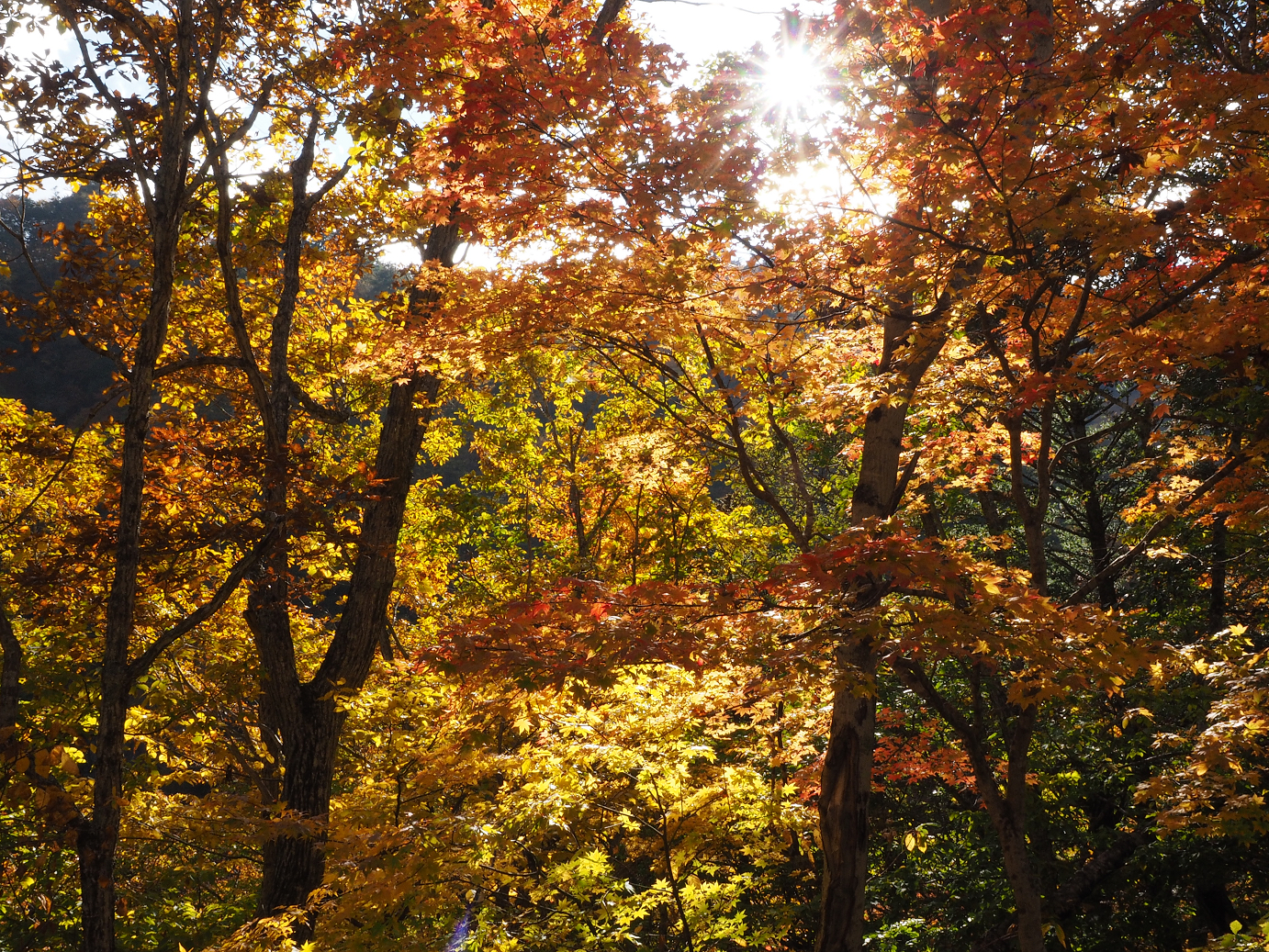 PA180687.jpg