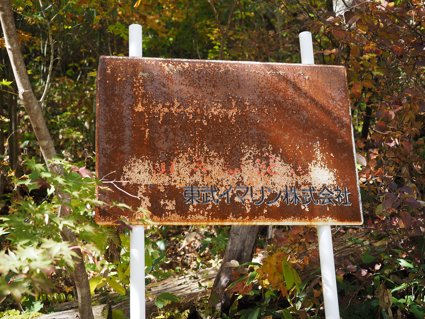PA180688.jpg