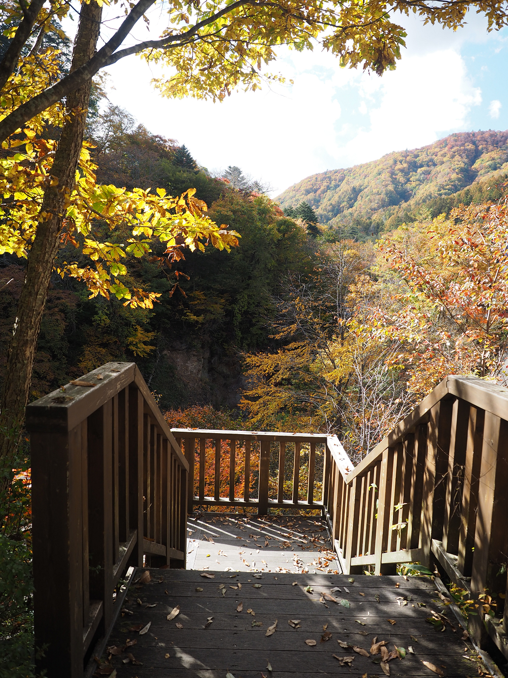 PA180703.jpg