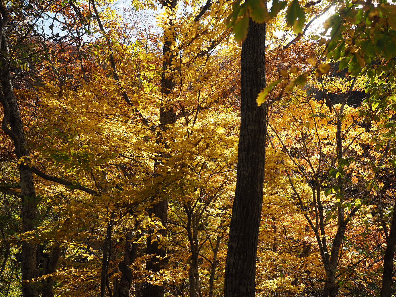 PA180705.jpg
