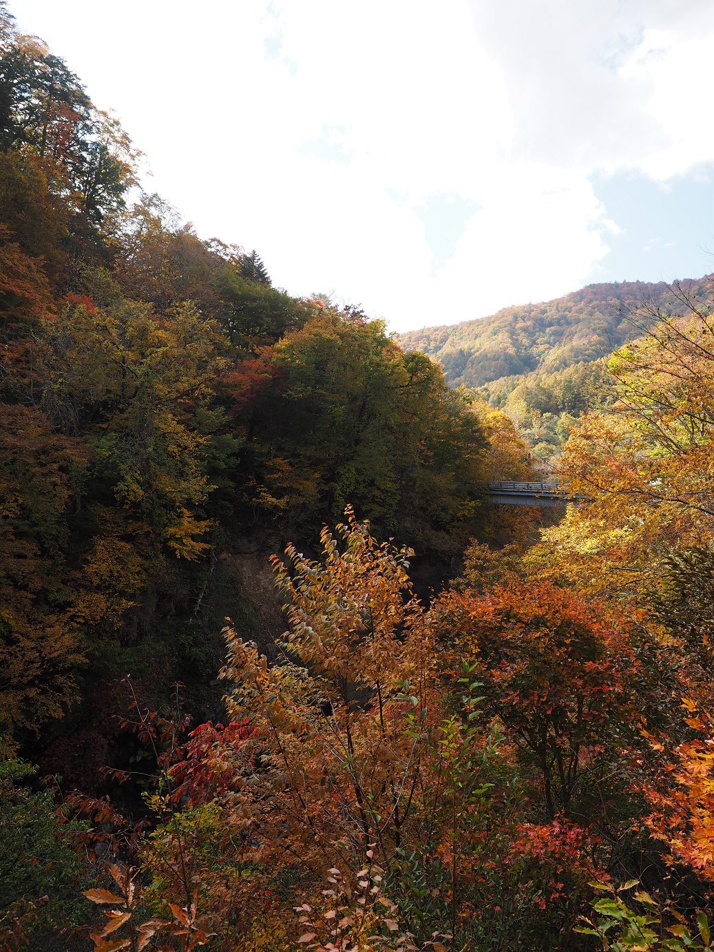 PA180707.jpg