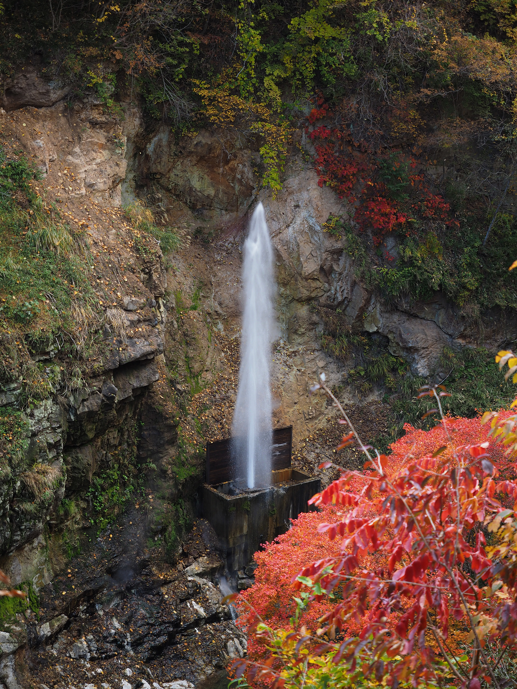 PA180726.jpg