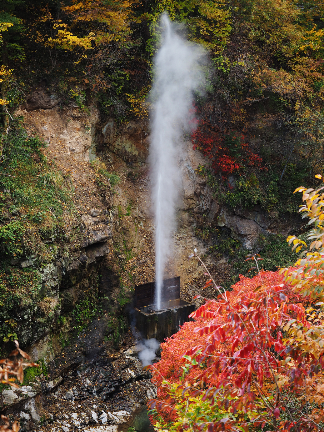 PA180727.jpg