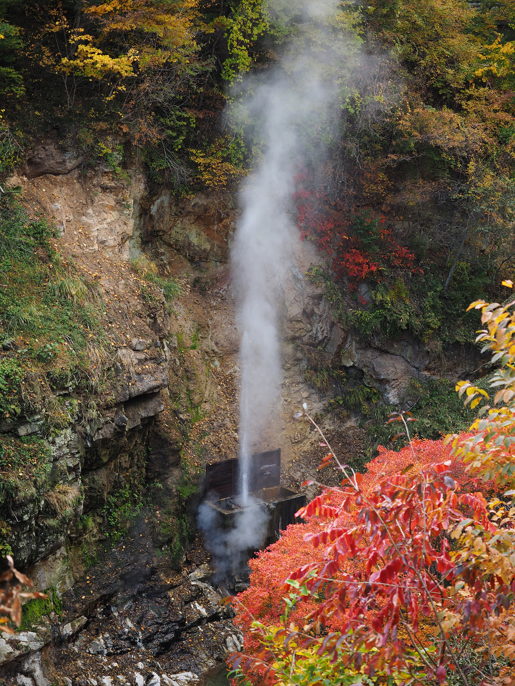 PA180728.jpg