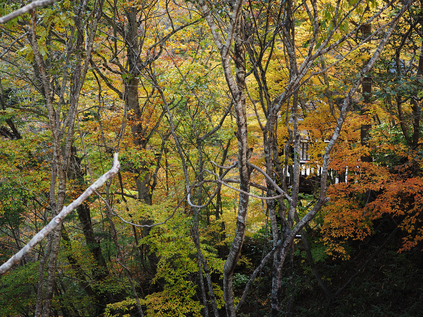 PA180735.jpg