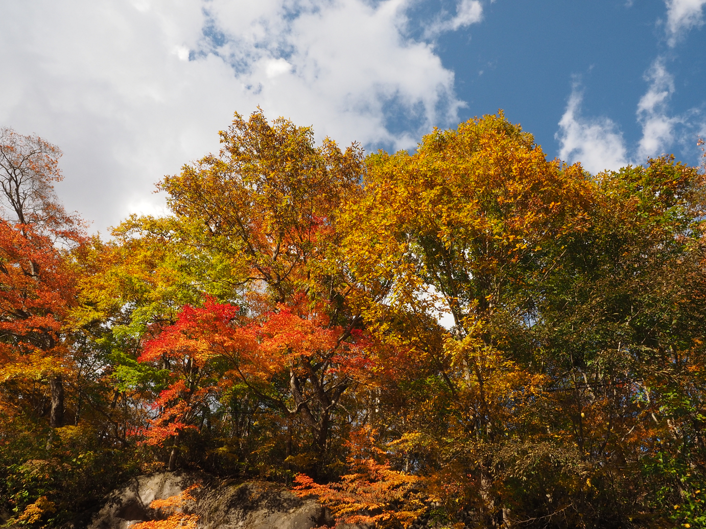 PA180748.jpg