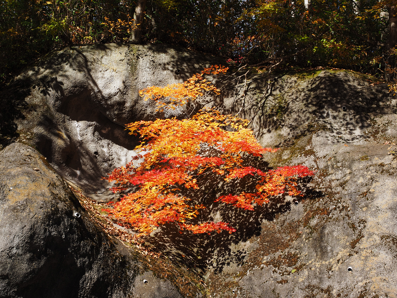 PA180750.jpg