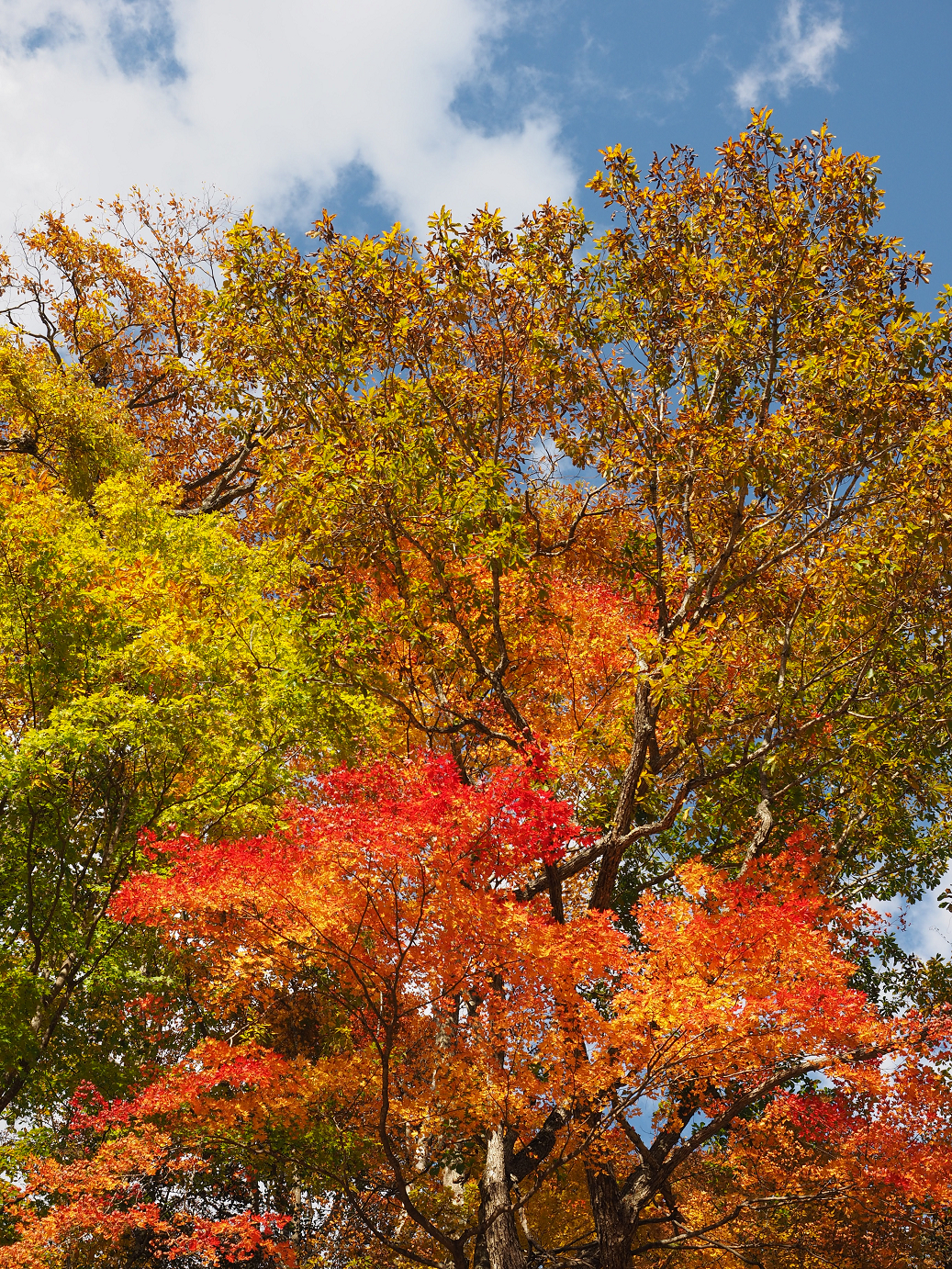 PA180754.jpg