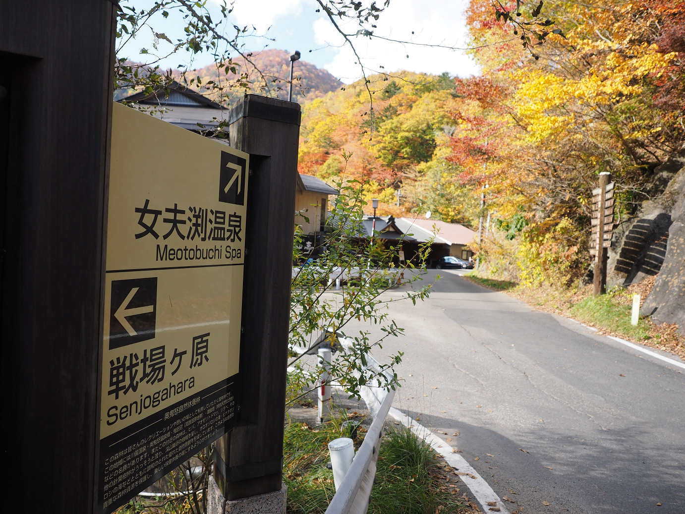 PA180762.jpg