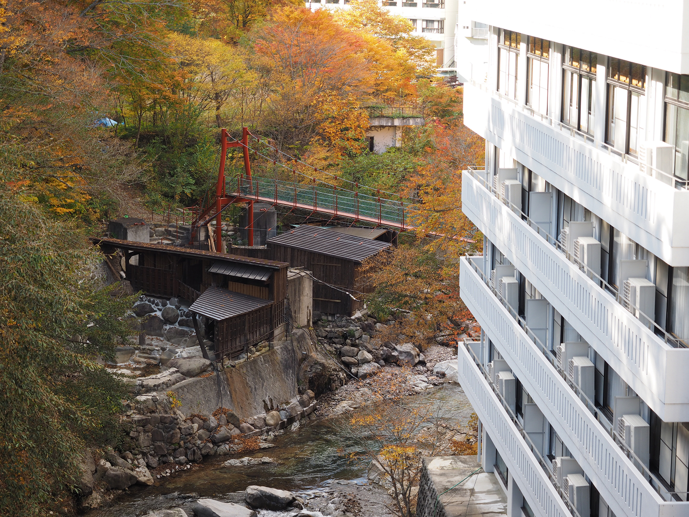 PA180769.jpg