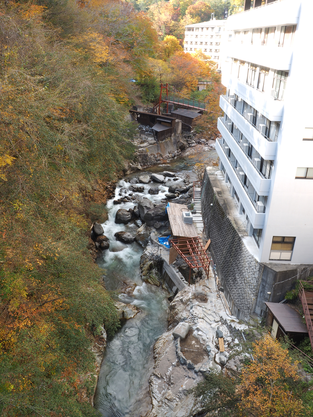 PA180774.jpg