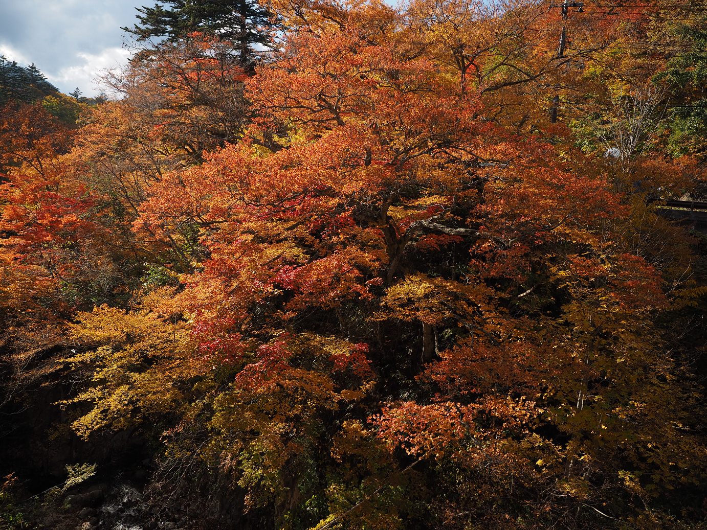 PA180782.jpg