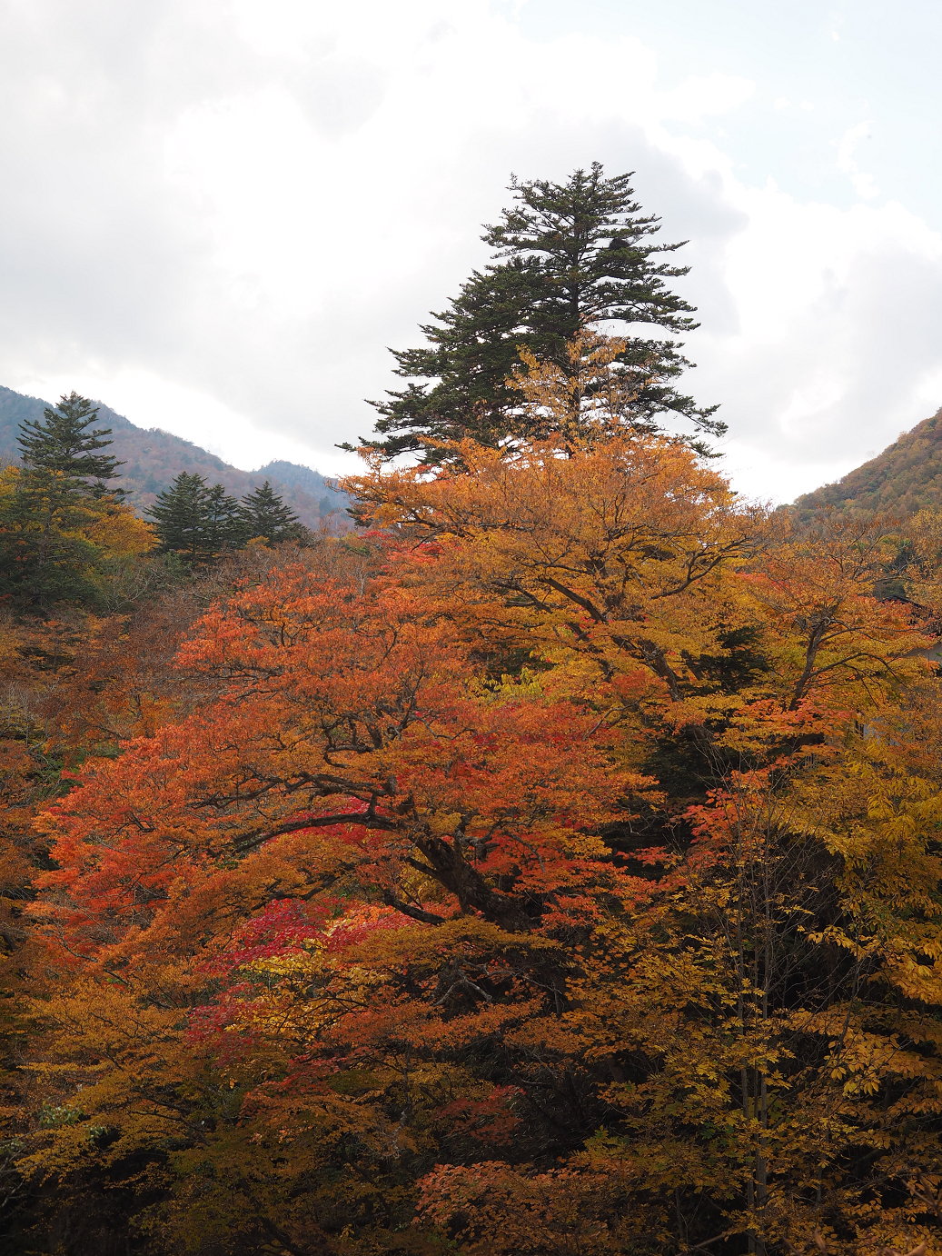 PA180794.jpg