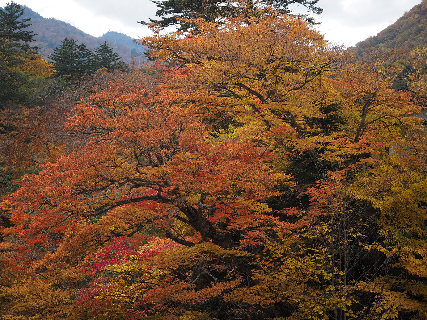 PA180797.jpg