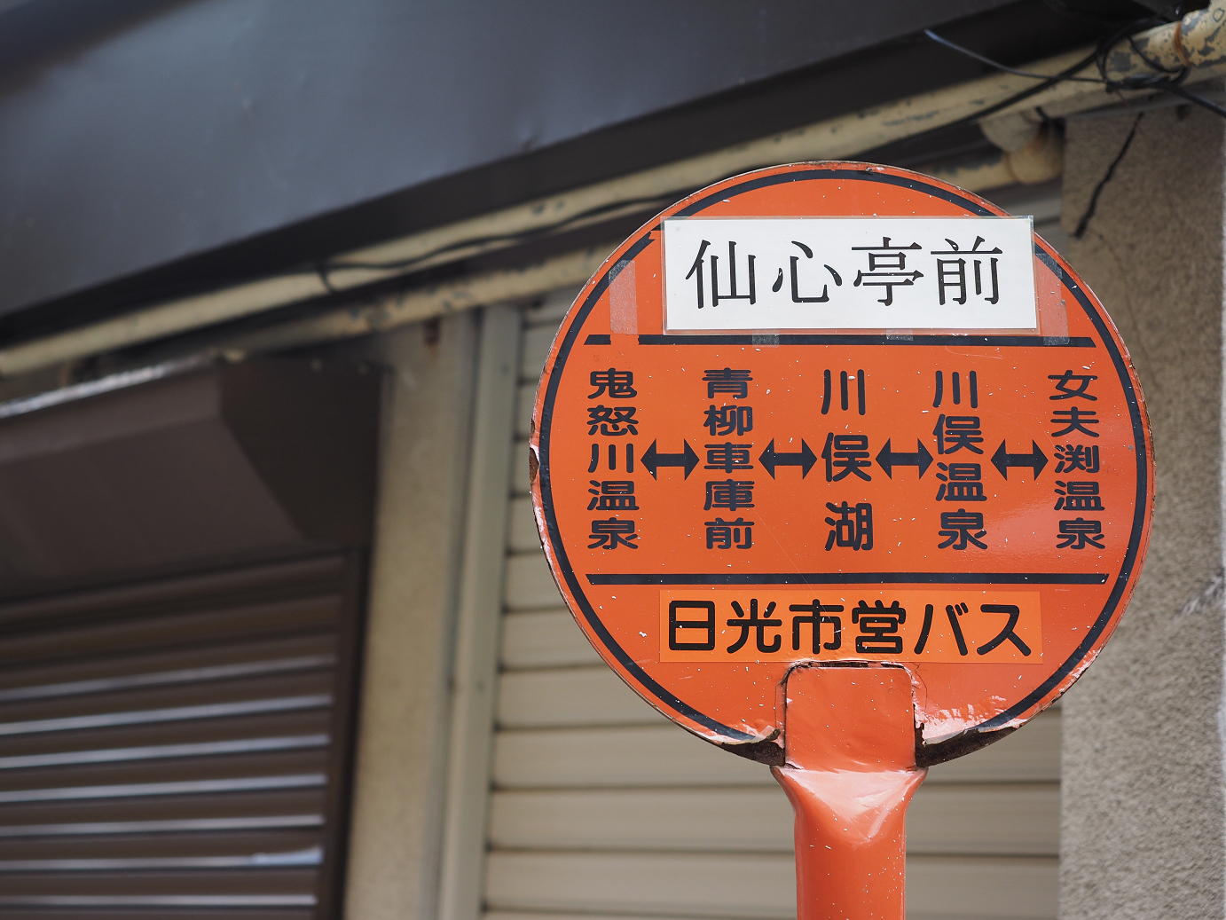 PA180799.jpg