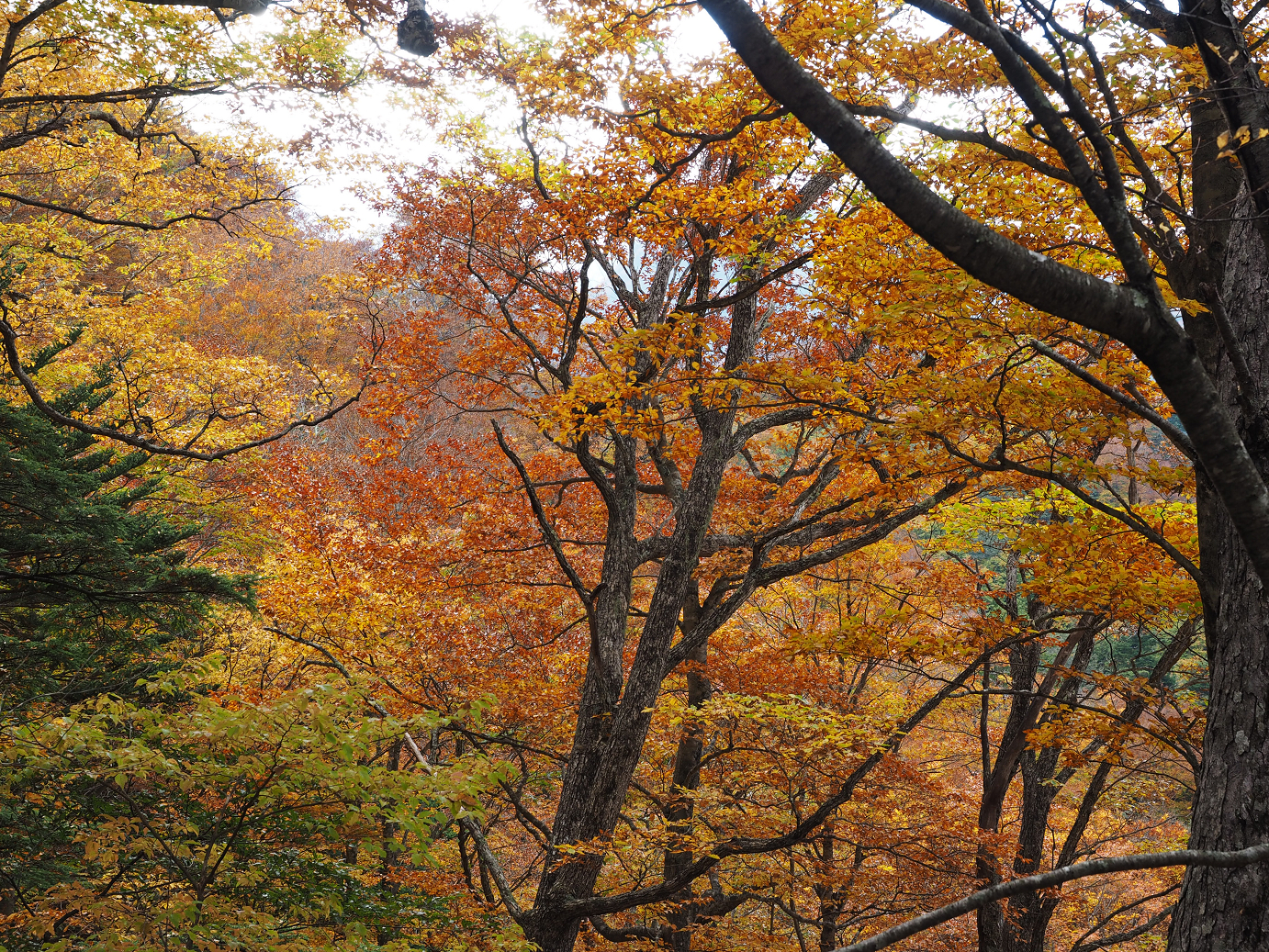 PA180815.jpg