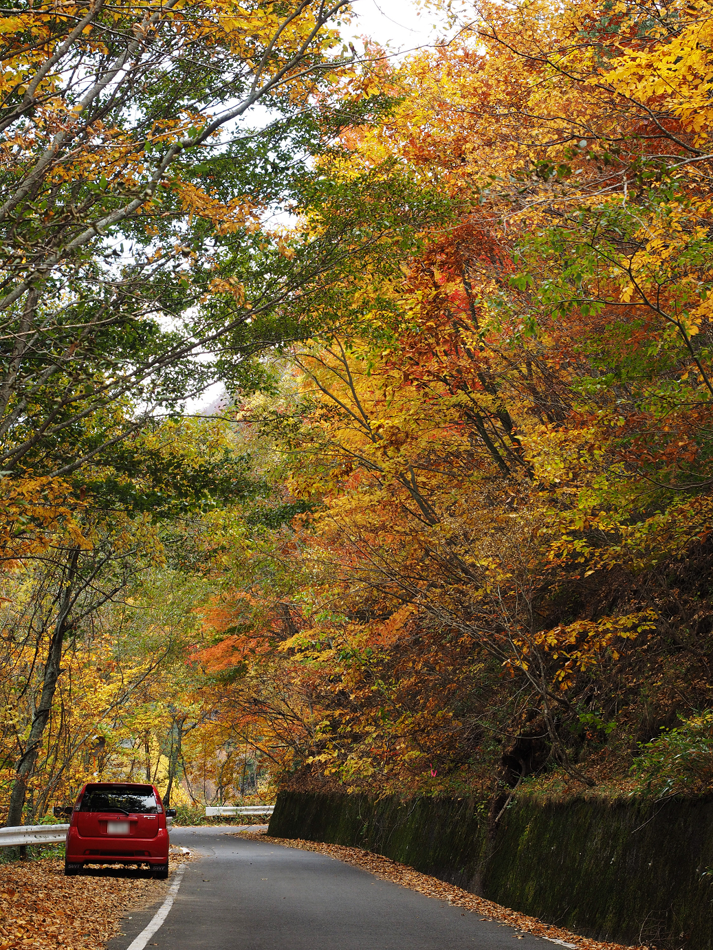 PA180820.jpg
