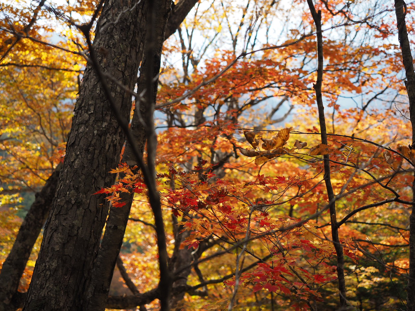 PA180825.jpg