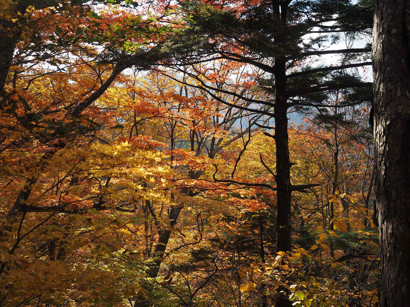 PA180826.jpg