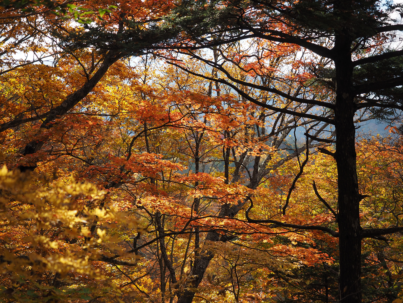 PA180829.jpg