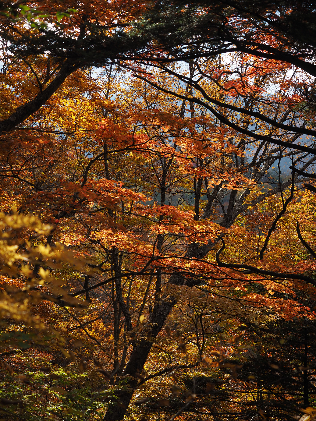 PA180831.jpg