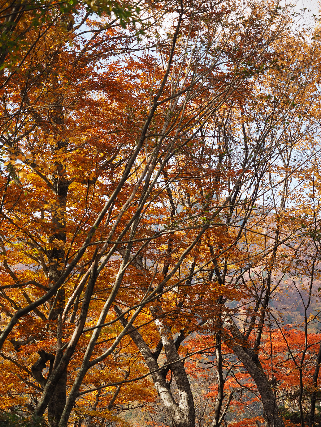 PA180848.jpg