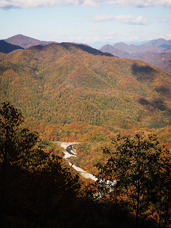 PA180858_thumb.png