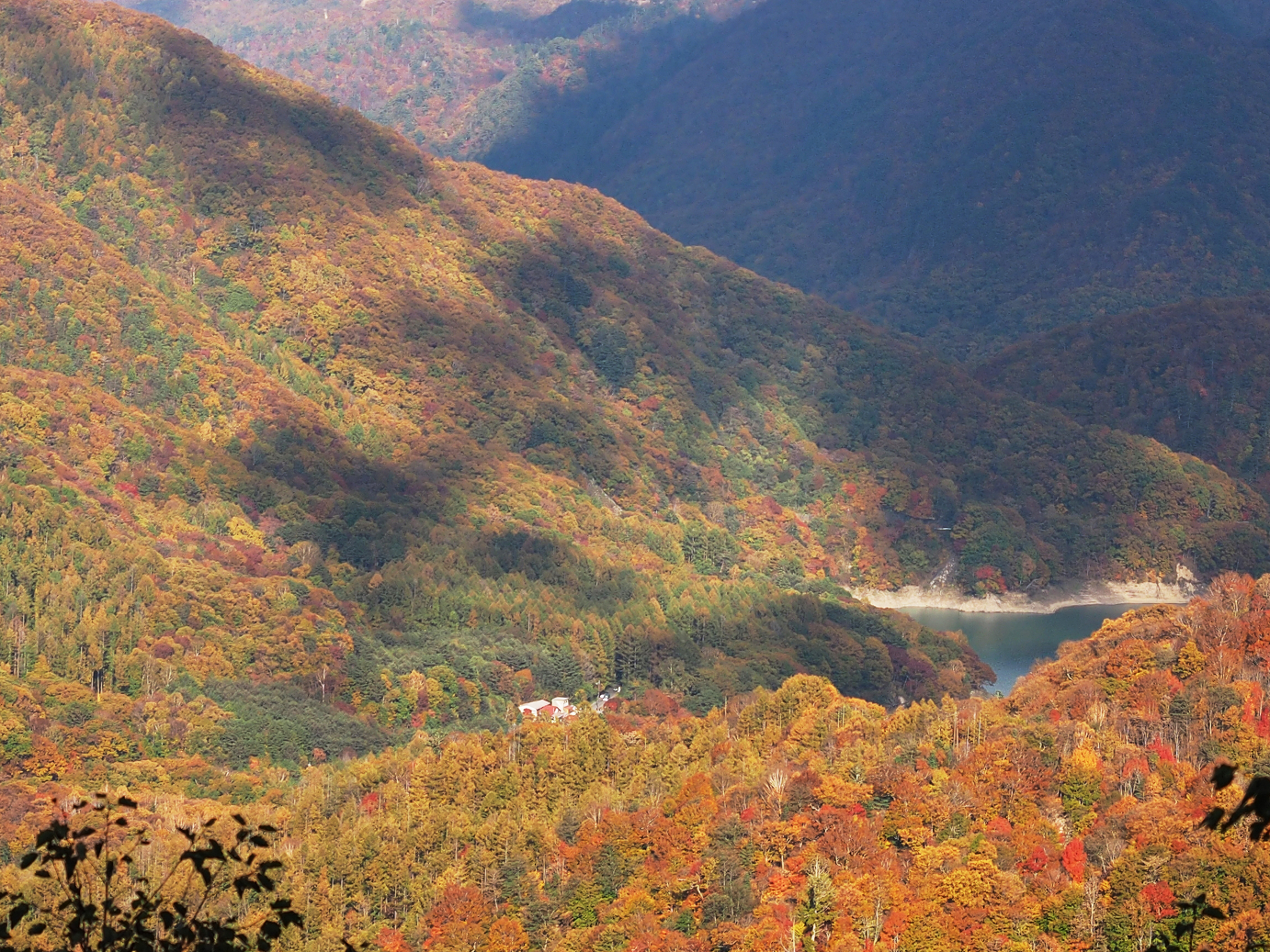 PA180859.jpg