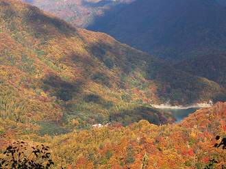PA180859_thumb.png