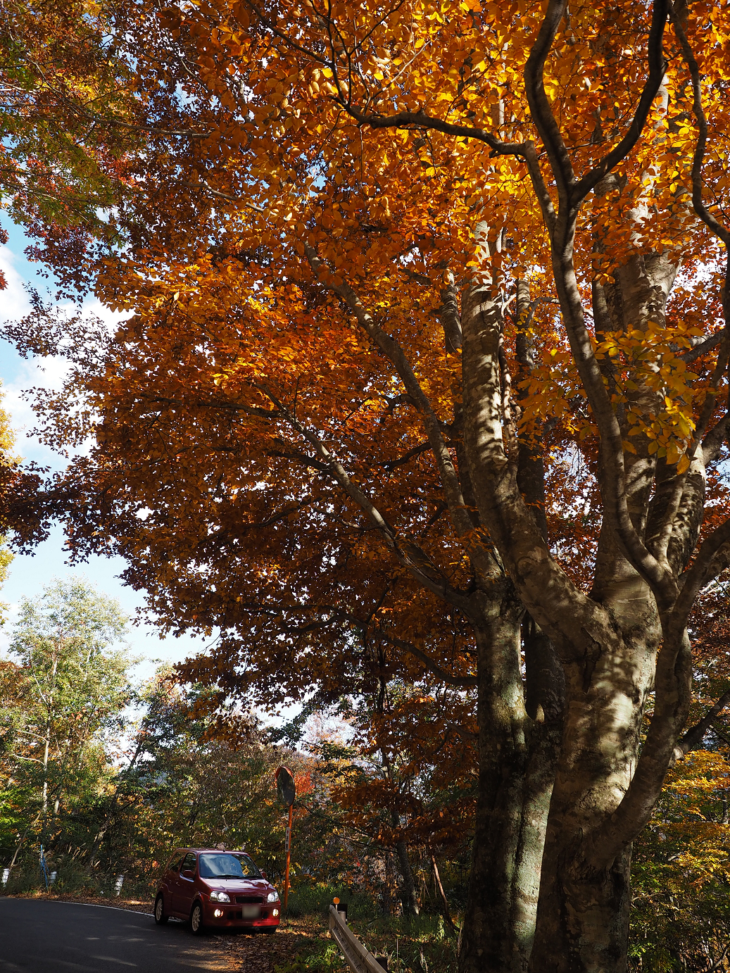 PA180868.jpg