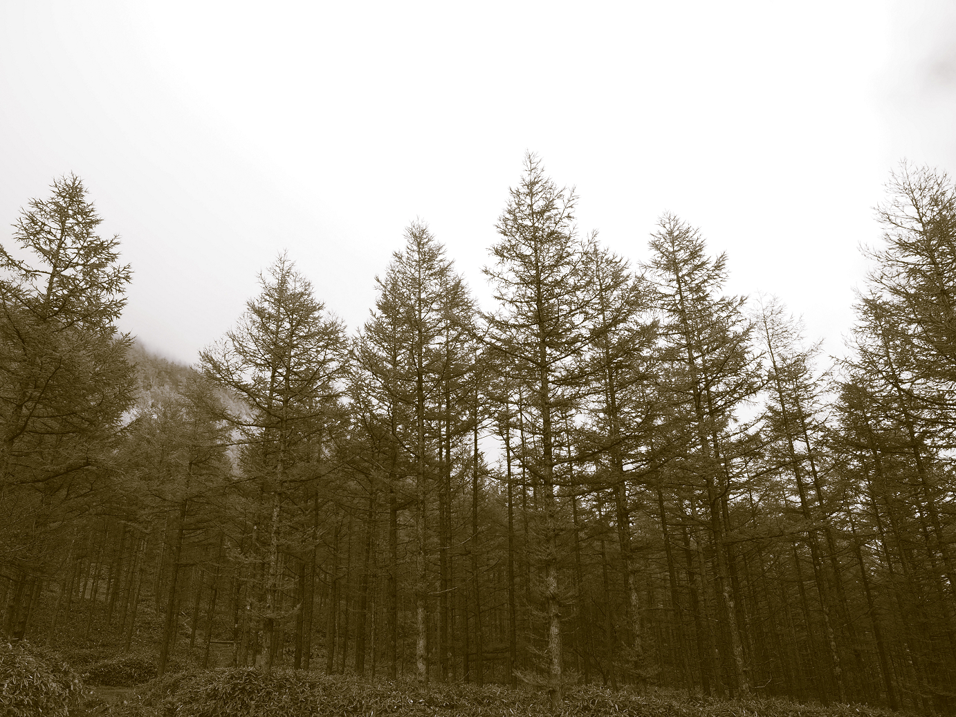 PA180890.jpg