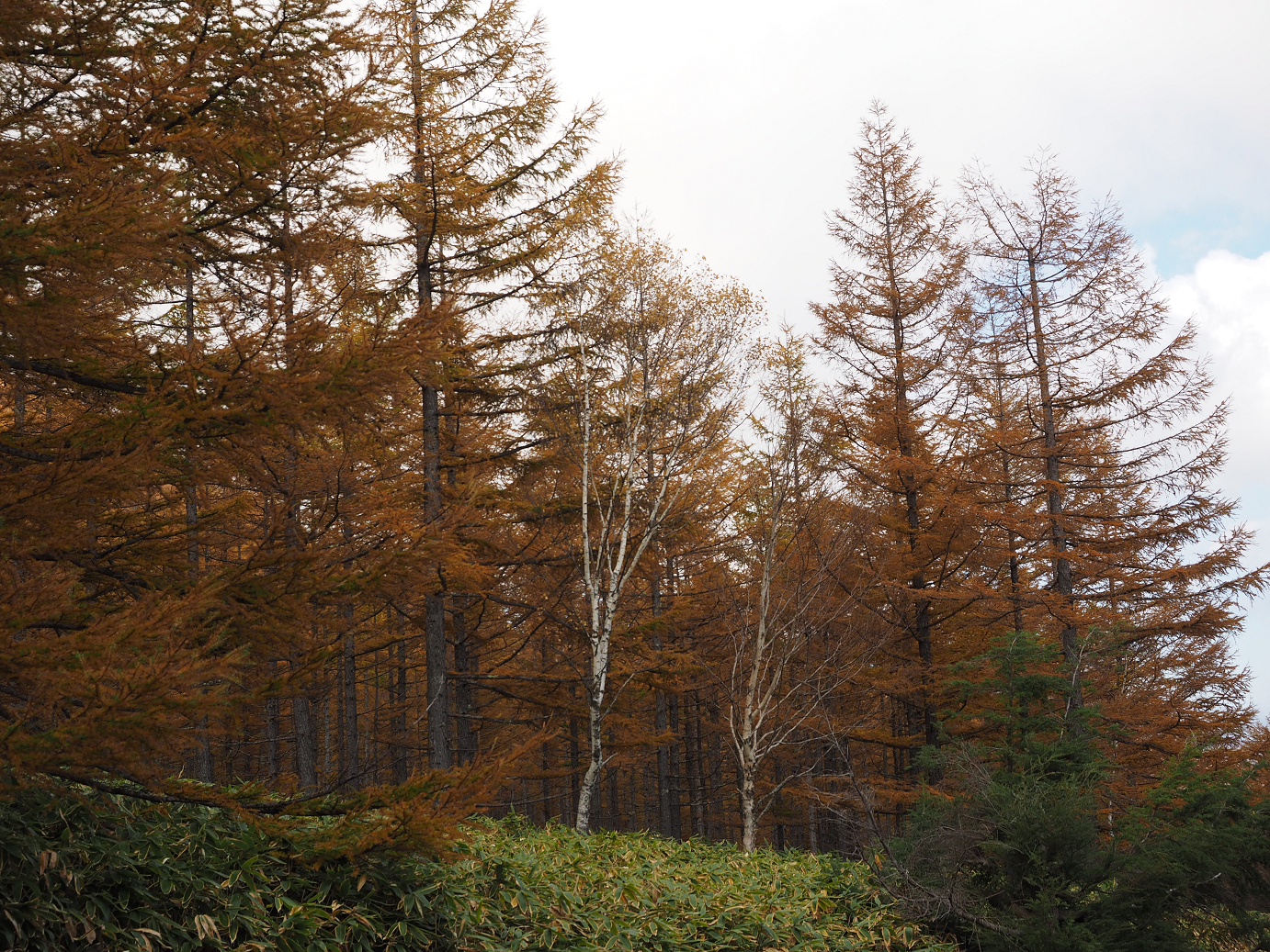 PA180901.jpg