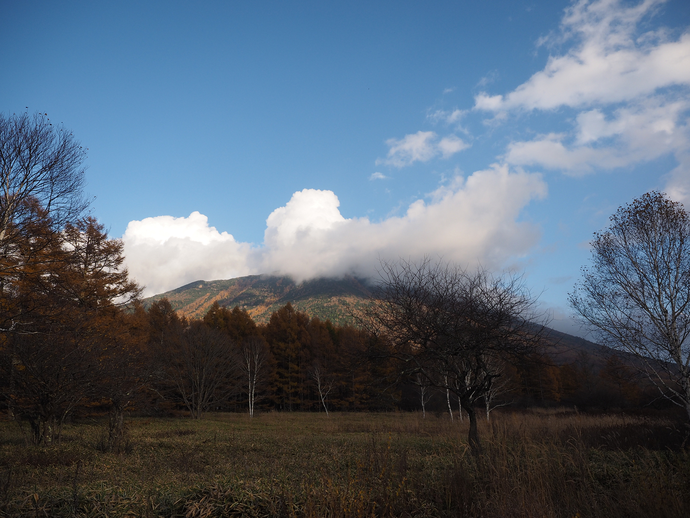 PA180913.jpg