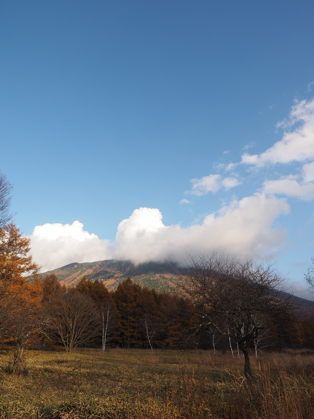 PA180914.jpg
