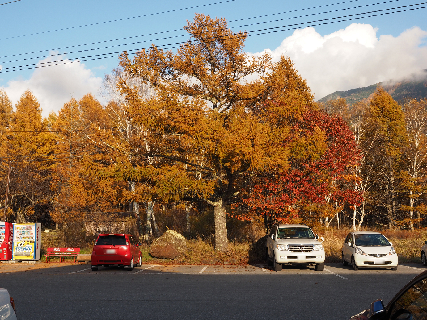 PA180915.jpg