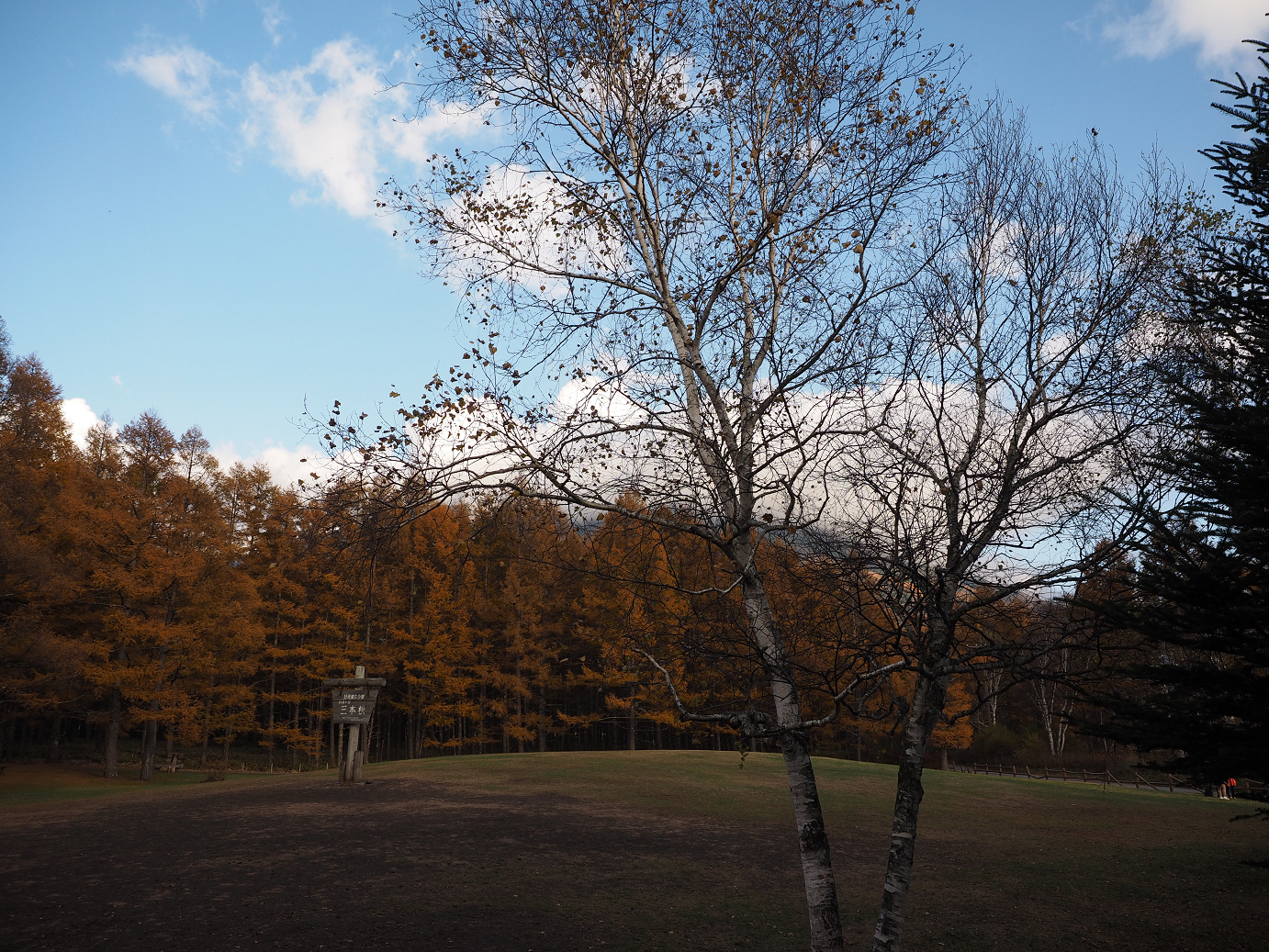 PA180925.jpg