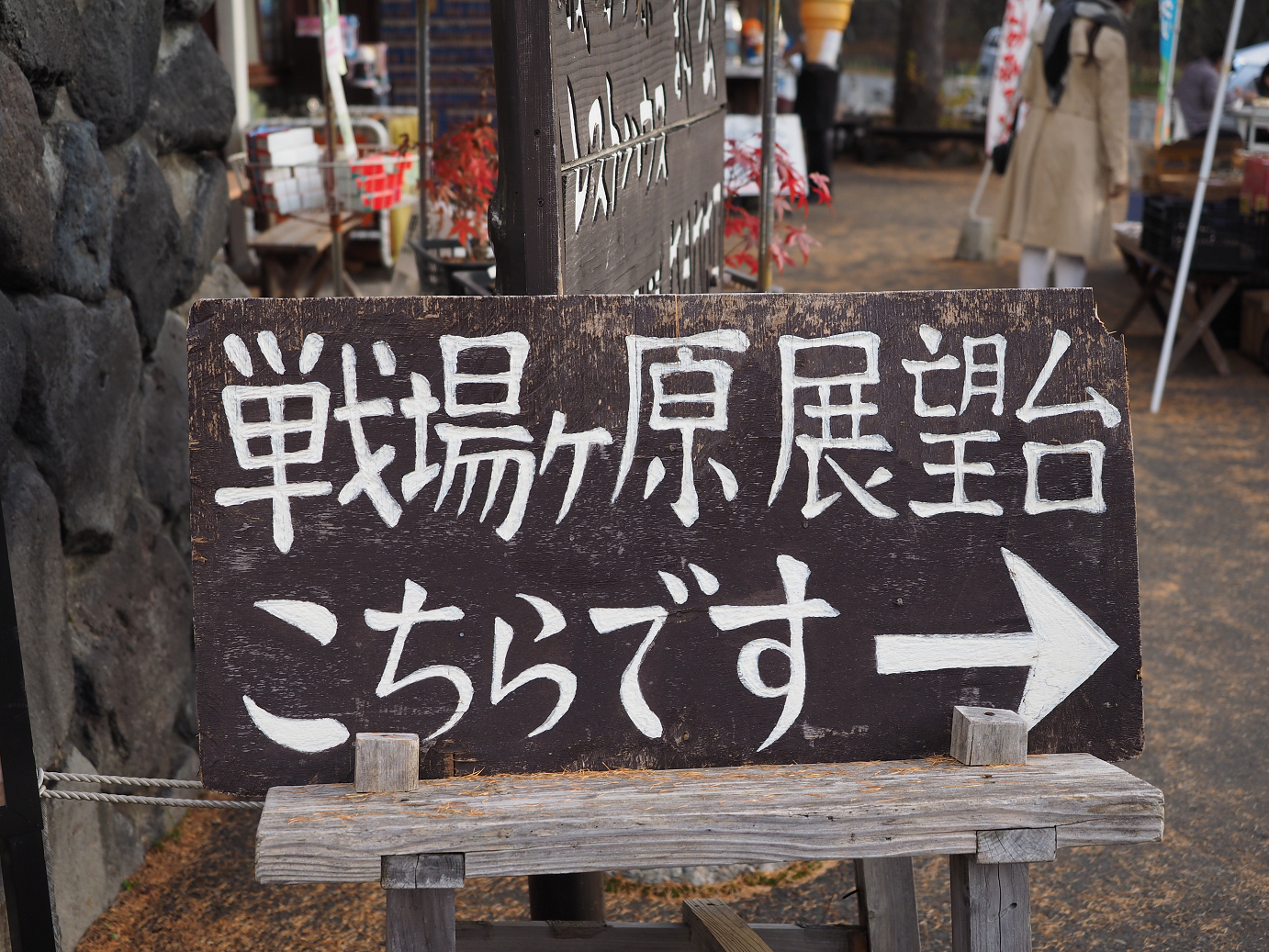 PA180932.jpg