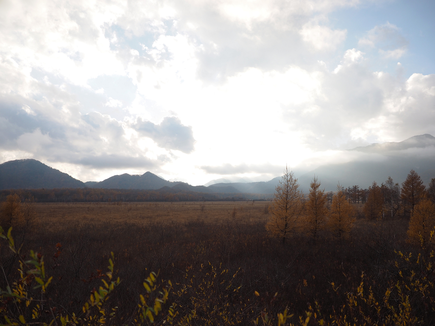 PA180934.jpg