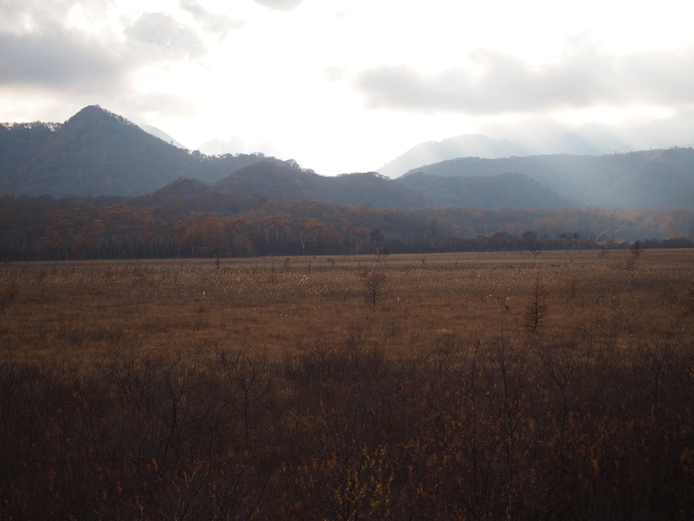 PA180935.jpg